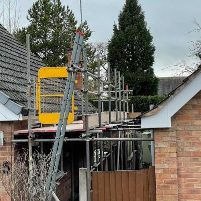 Hammac Scaffolding 65